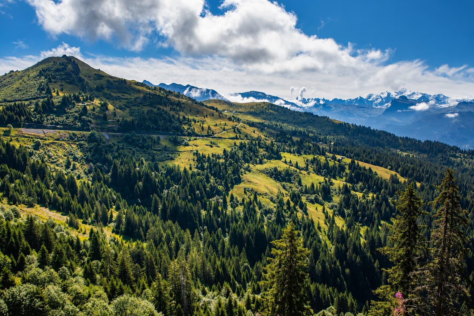 Les forêts et alpages de Haute-Savoie